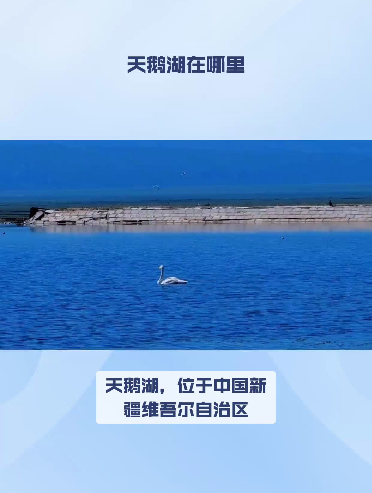 天鹅湖在哪里?天鹅湖景区介绍,天鹅湖景区门票多少?