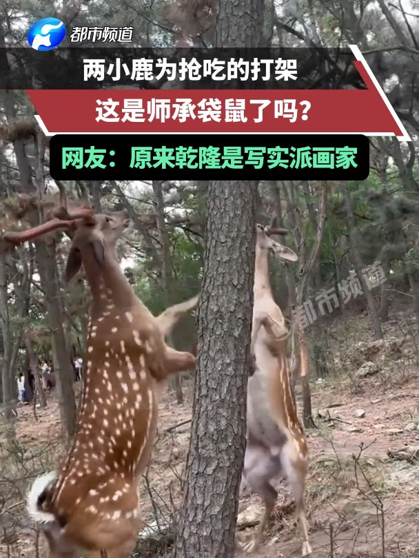 两小鹿为抢吃的打架,这是师承袋鼠了吗?网友:原来乾隆是写实派画家