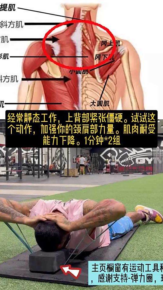 静态工作,上背部紧张僵硬。加强你的颈肩部力量。肌肉耐受能力