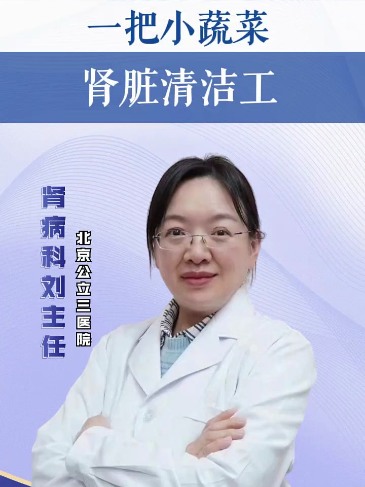 一把小蔬菜,肾脏清洁工