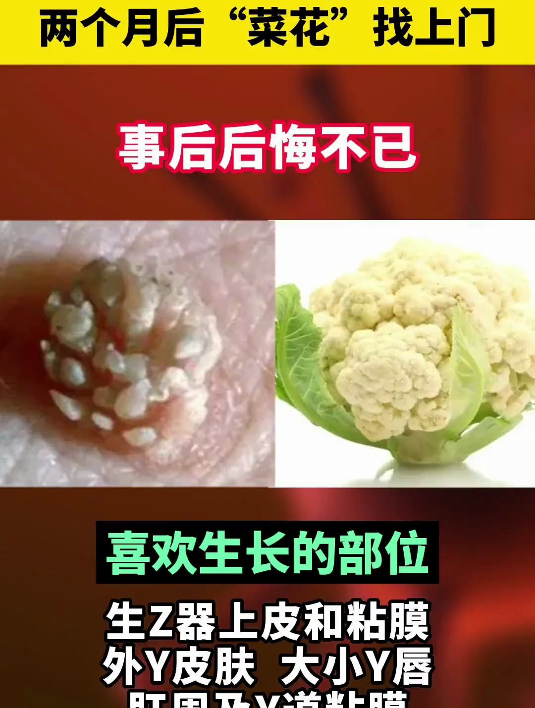 做花一样的女子,而不是菜花一样的女子!