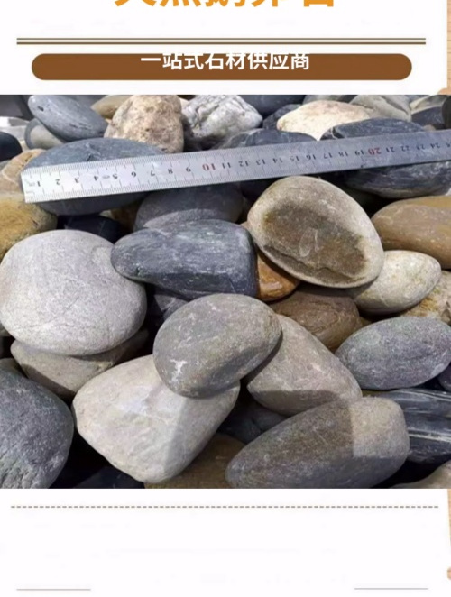 河南花卉铺面雨花石 草坪绿地假山石 彩色鹅卵石