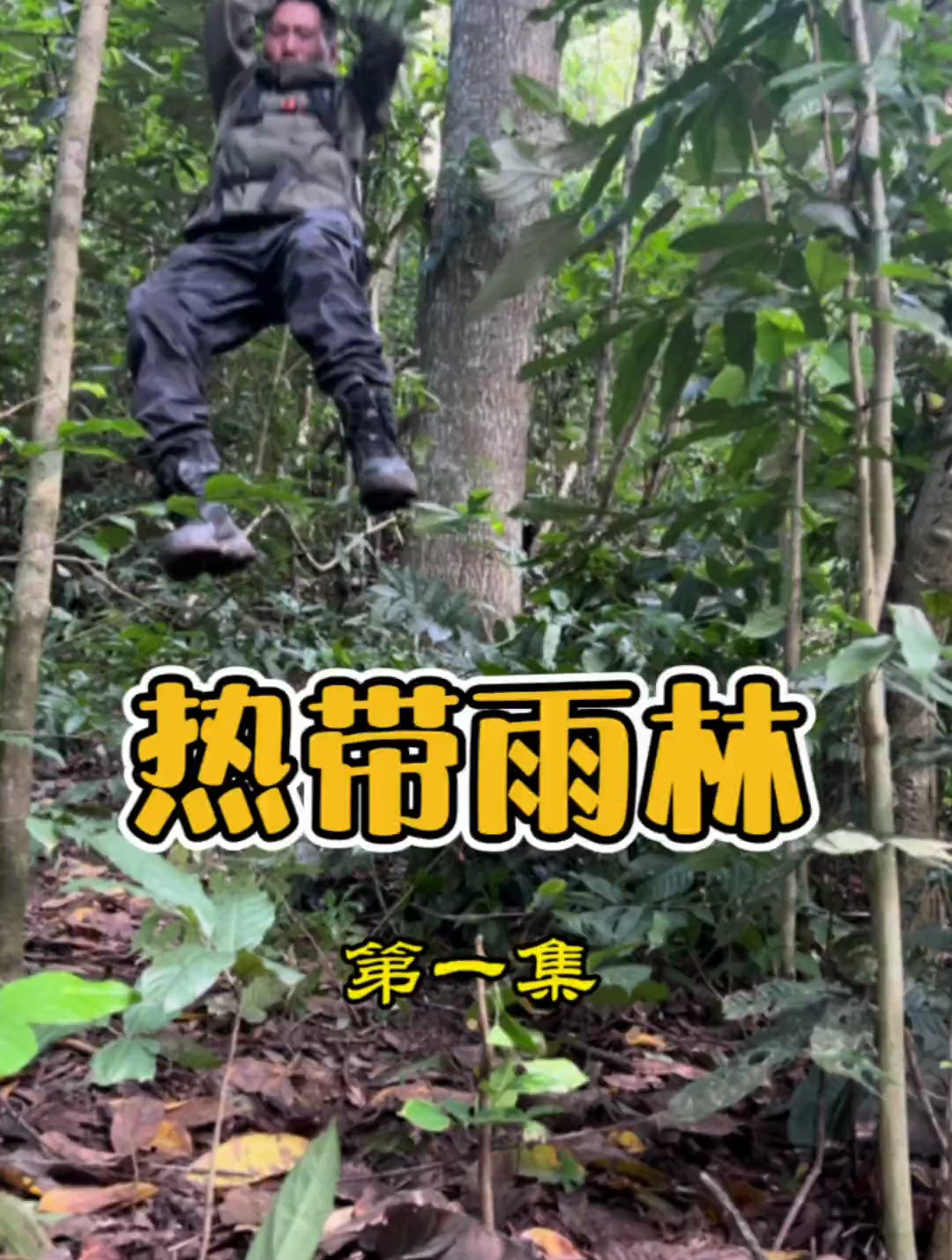 经过休整,前往数千公里外的热带雨林,开启新的一期野外生存