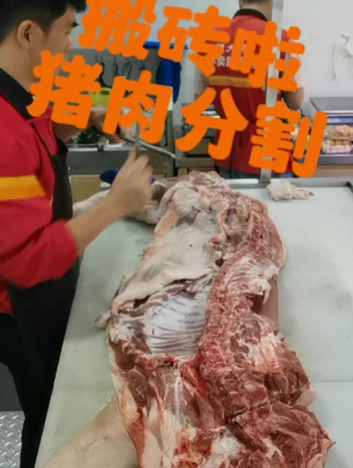 原创视频 vlog日常 大数据让我们相遇 猪肉分割技巧