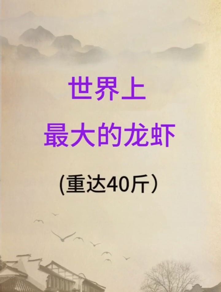 世界上最大的龙虾!