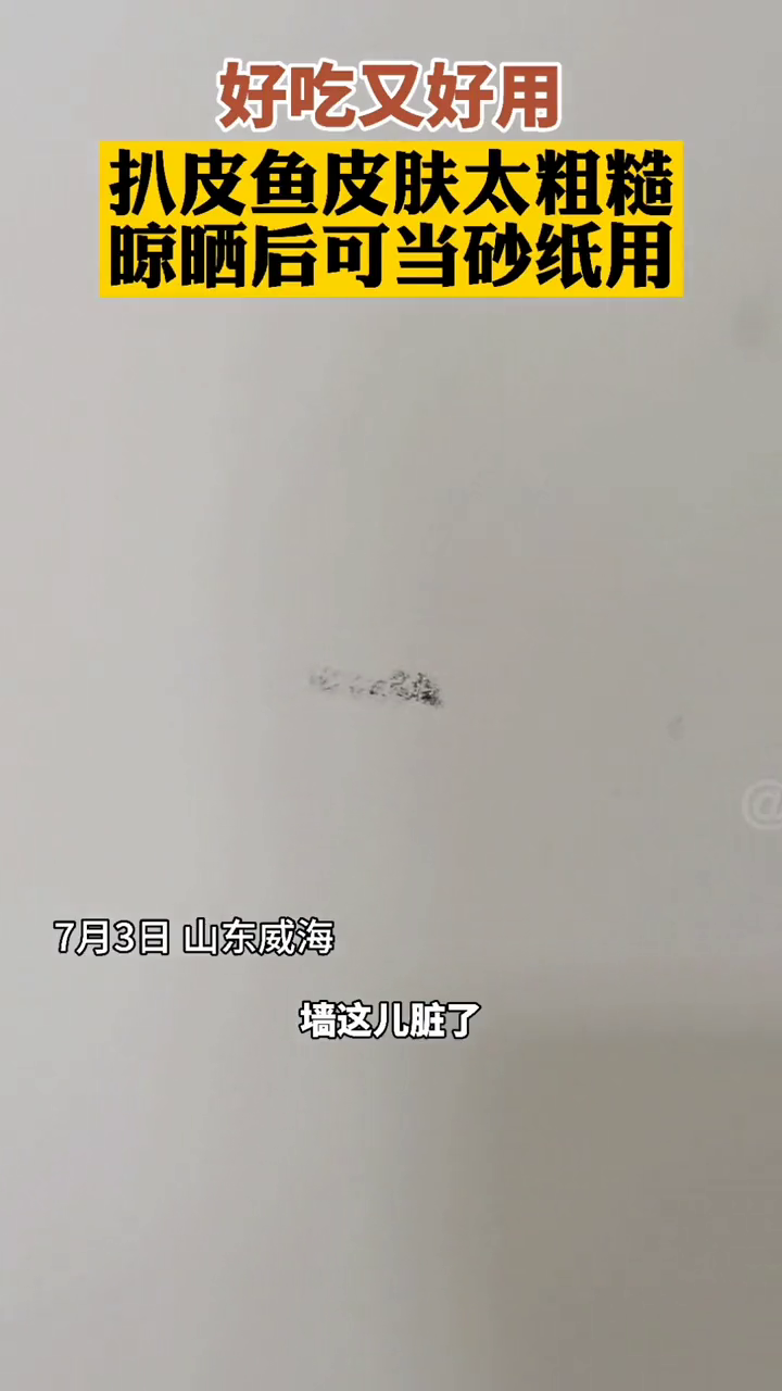 好砂纸鱼皮造,绿色纯天然你值得拥有