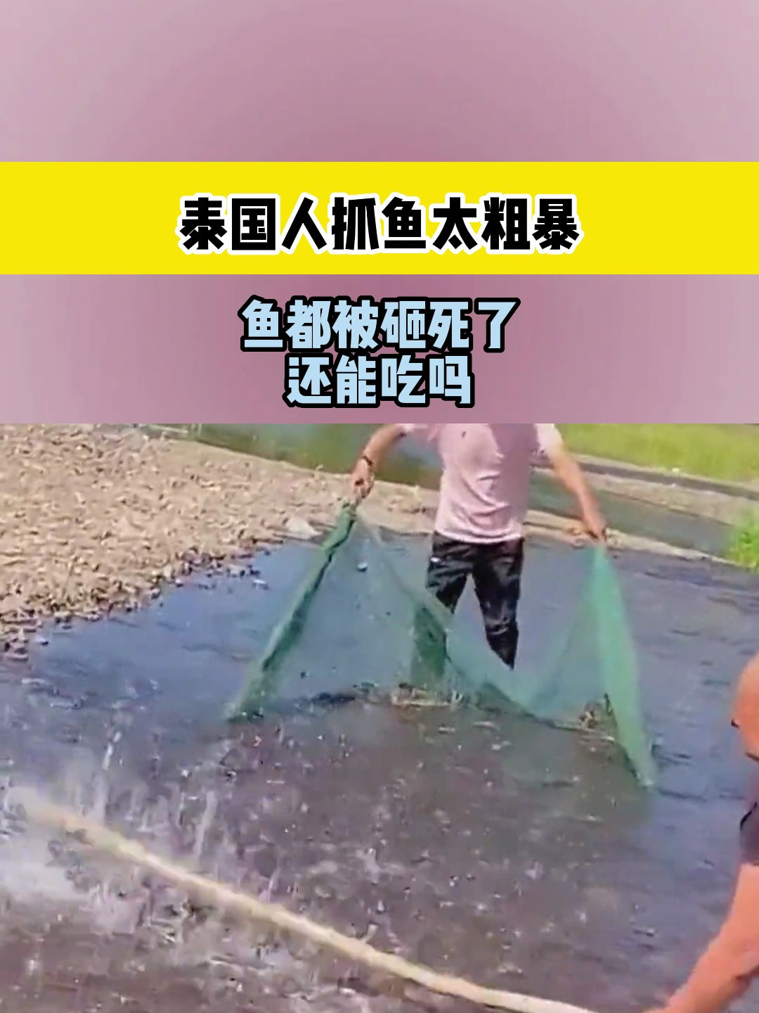 泰国人抓鱼太粗暴,鱼都被砸死了,还能吃吗?