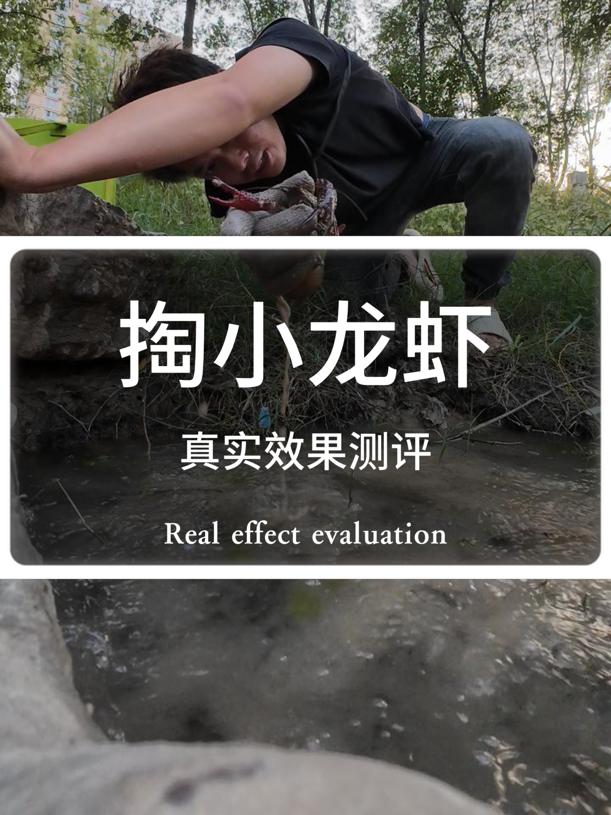 网友说用盐可以快速掏小龙虾,实测看看效果怎么样?