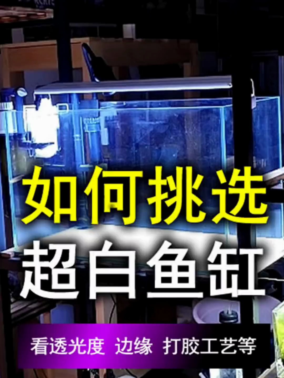 挑选超白鱼缸看这4点,能打到85分以上,基本就不错