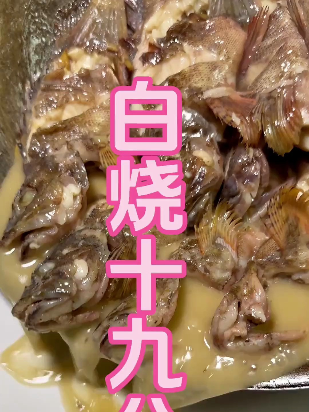 白烧十九公~有刺激到你的食欲吗?快来学习!