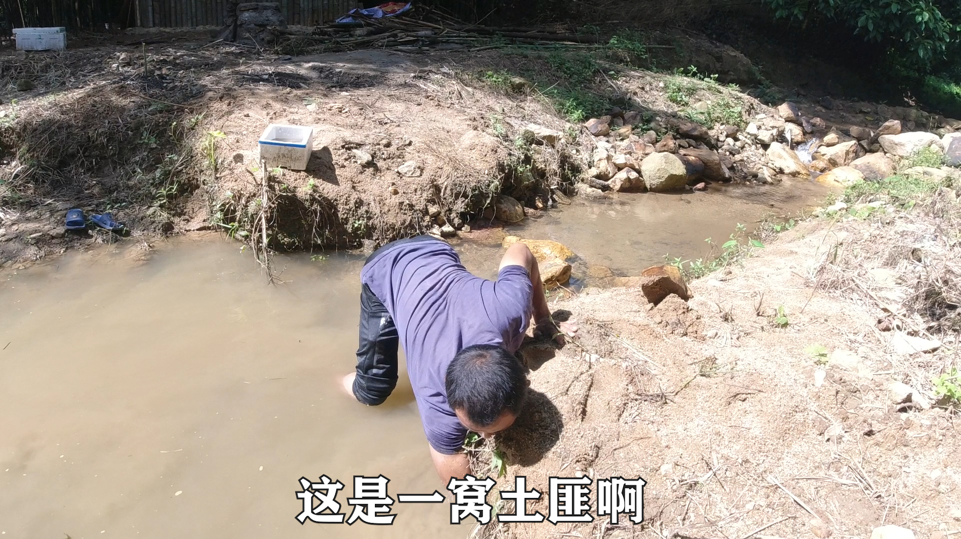 池塘刚投放的鱼苗,两天剩下不到10条,小伙徒手抓到一窝“凶手”