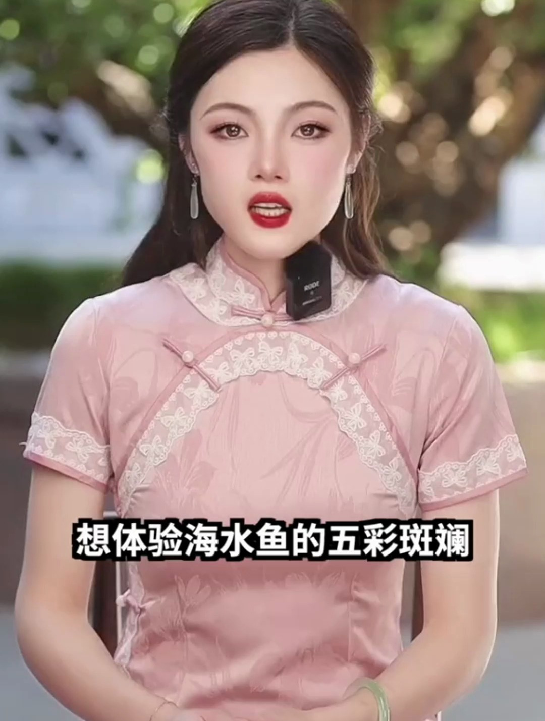 天天催我更新的三湖慈鲷,今天他来了