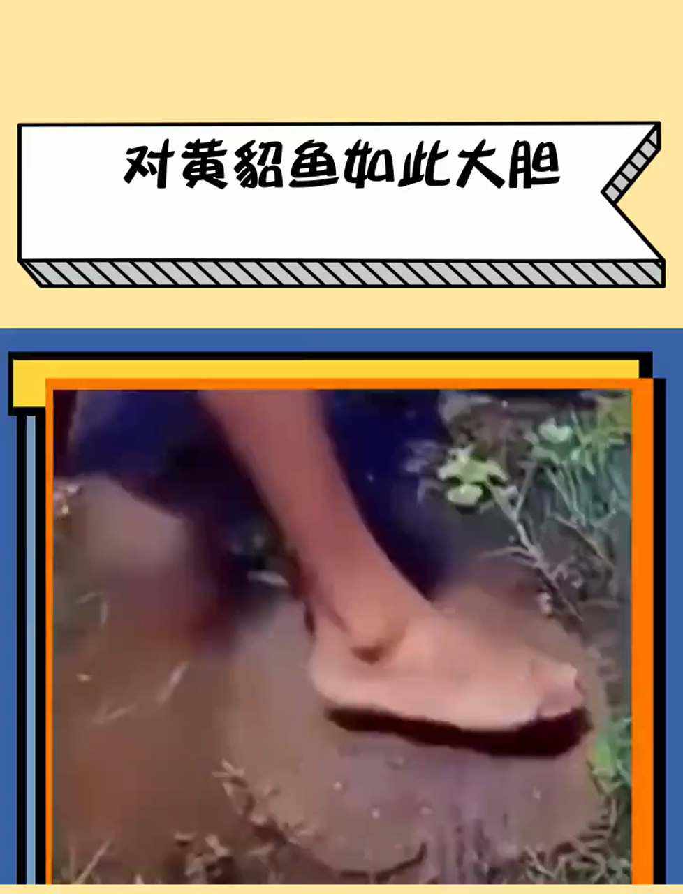 黄貂鱼:你简直大胆!