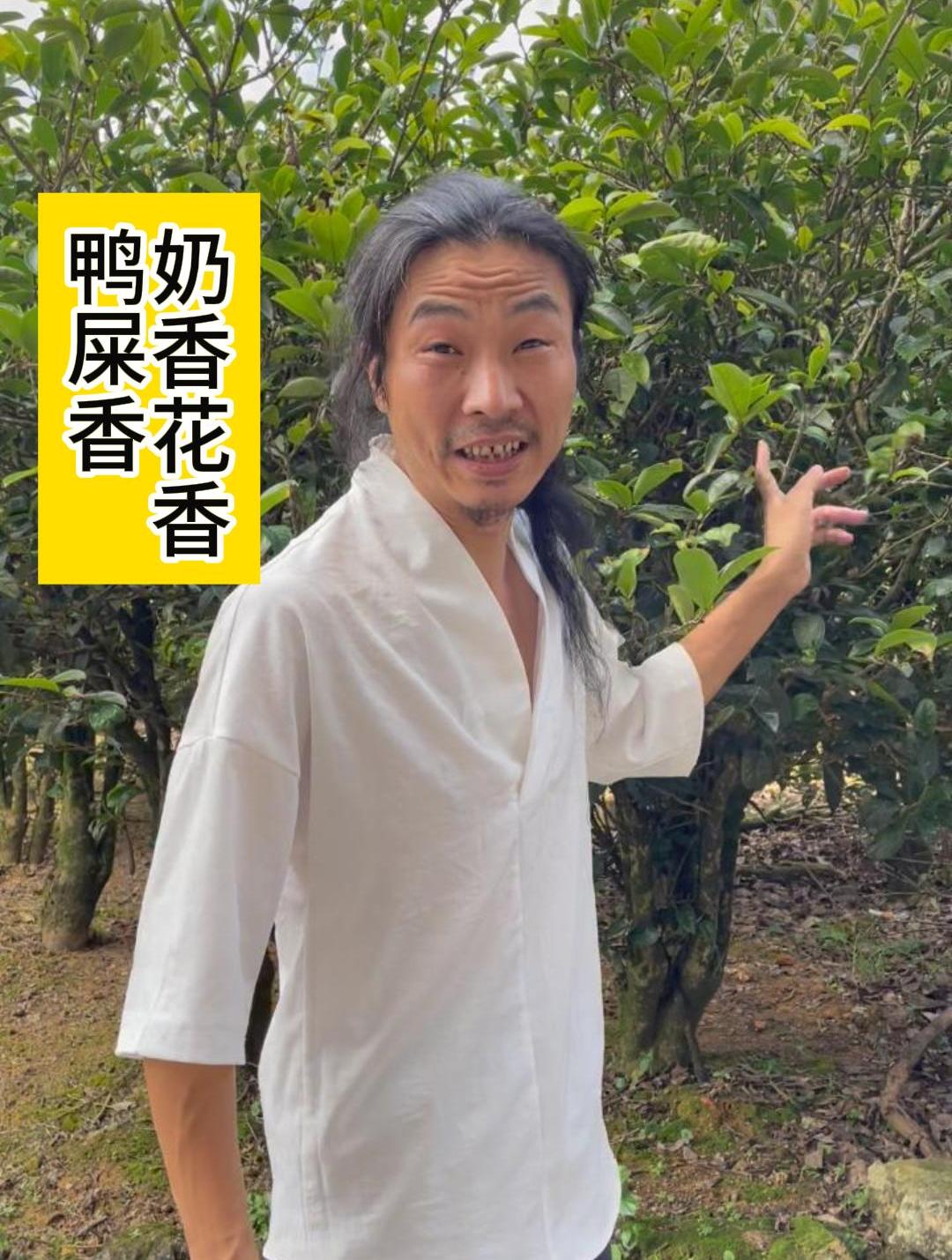 奶香+花香的鸭屎香给兄弟们找到了 凤凰单丛茶 鸭屎香