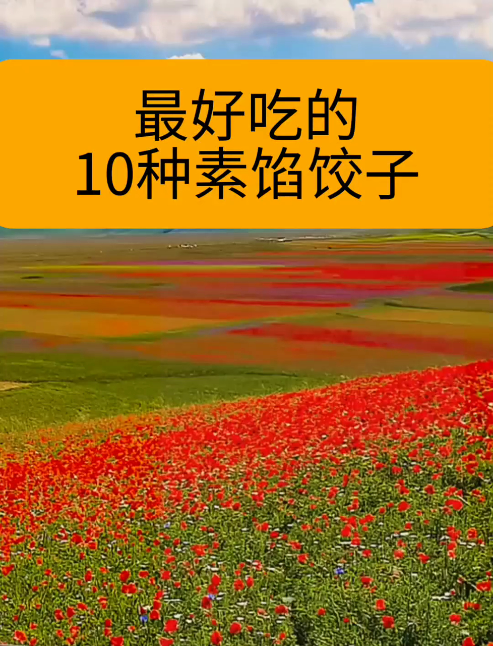素馅饺子推荐 10种美味家常做法