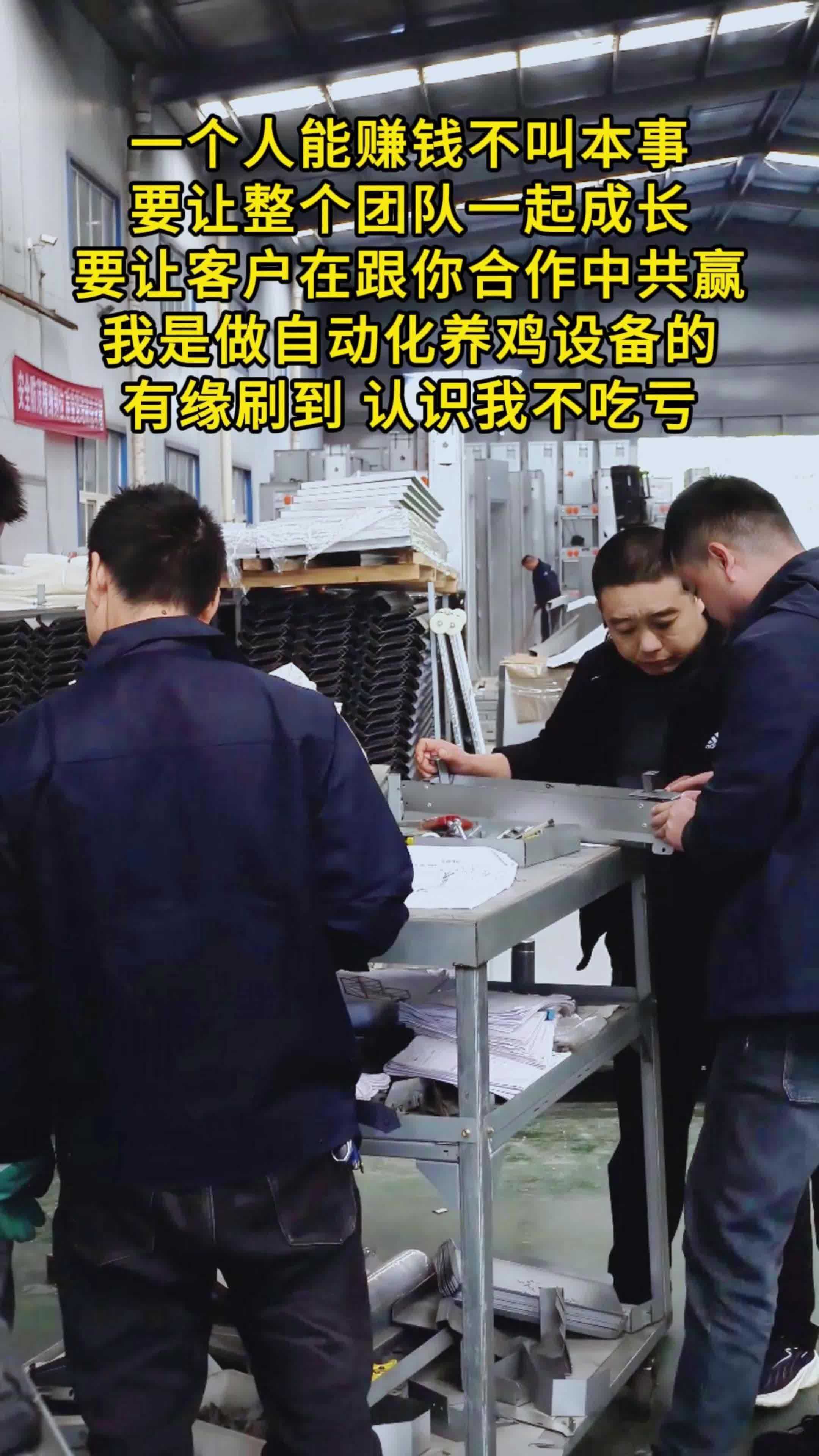 自动化养鸡设备