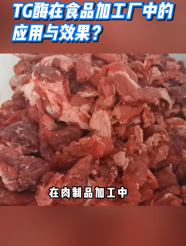 TG酶在食品加工中的应用与效果