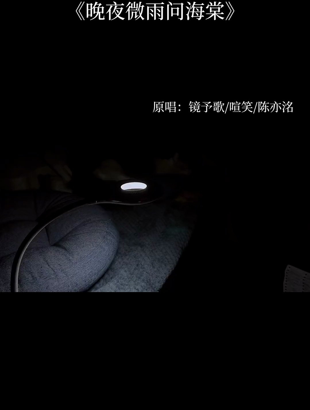 除了我,没人陪你走到最后《晚夜微雨问海棠》