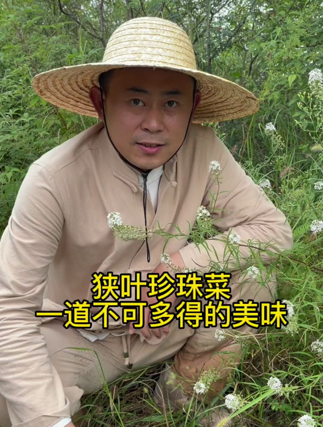它的花苞还未开放的时候,像极了一颗颗珍珠,它就是珍珠菜