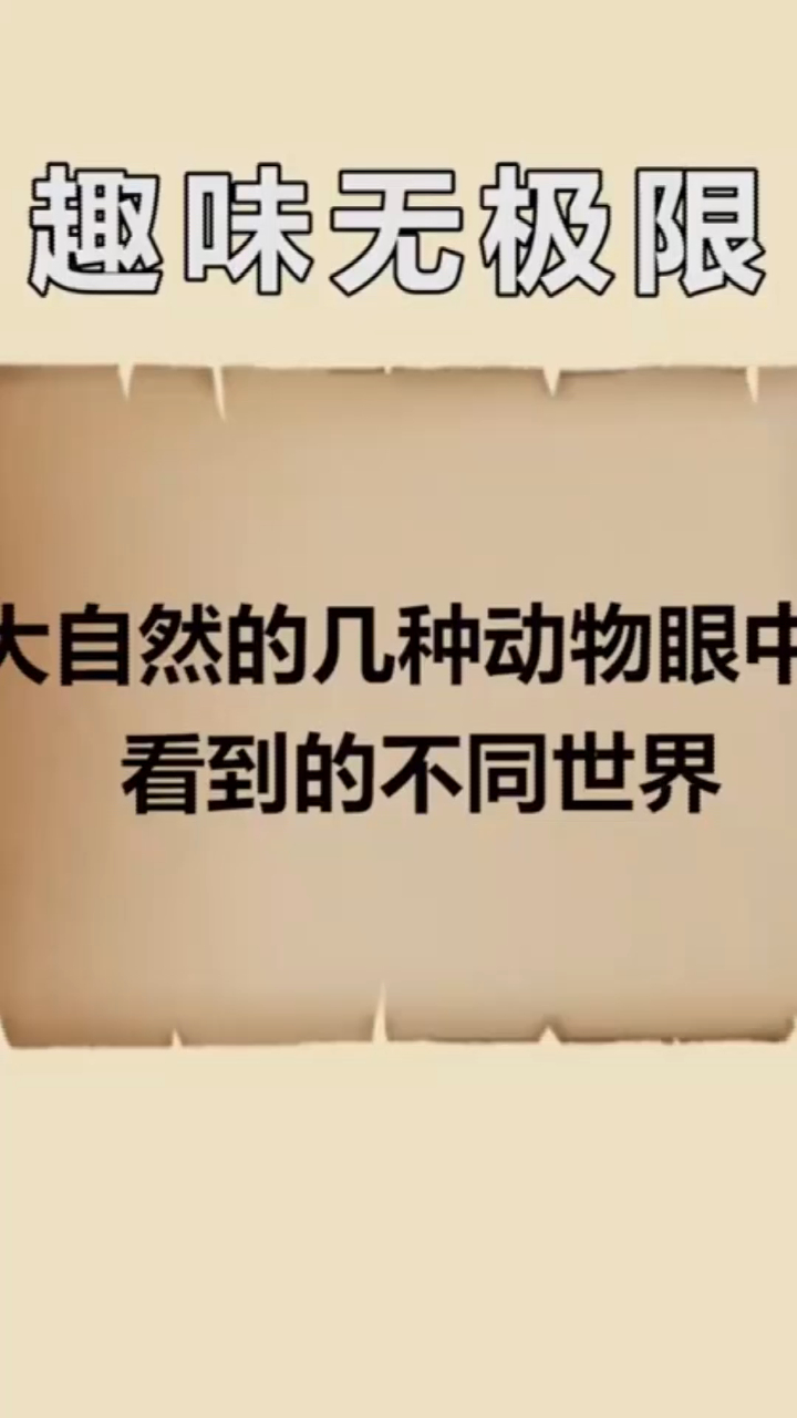 冷知识大全:大自然的几种动物眼中看到的不同世界