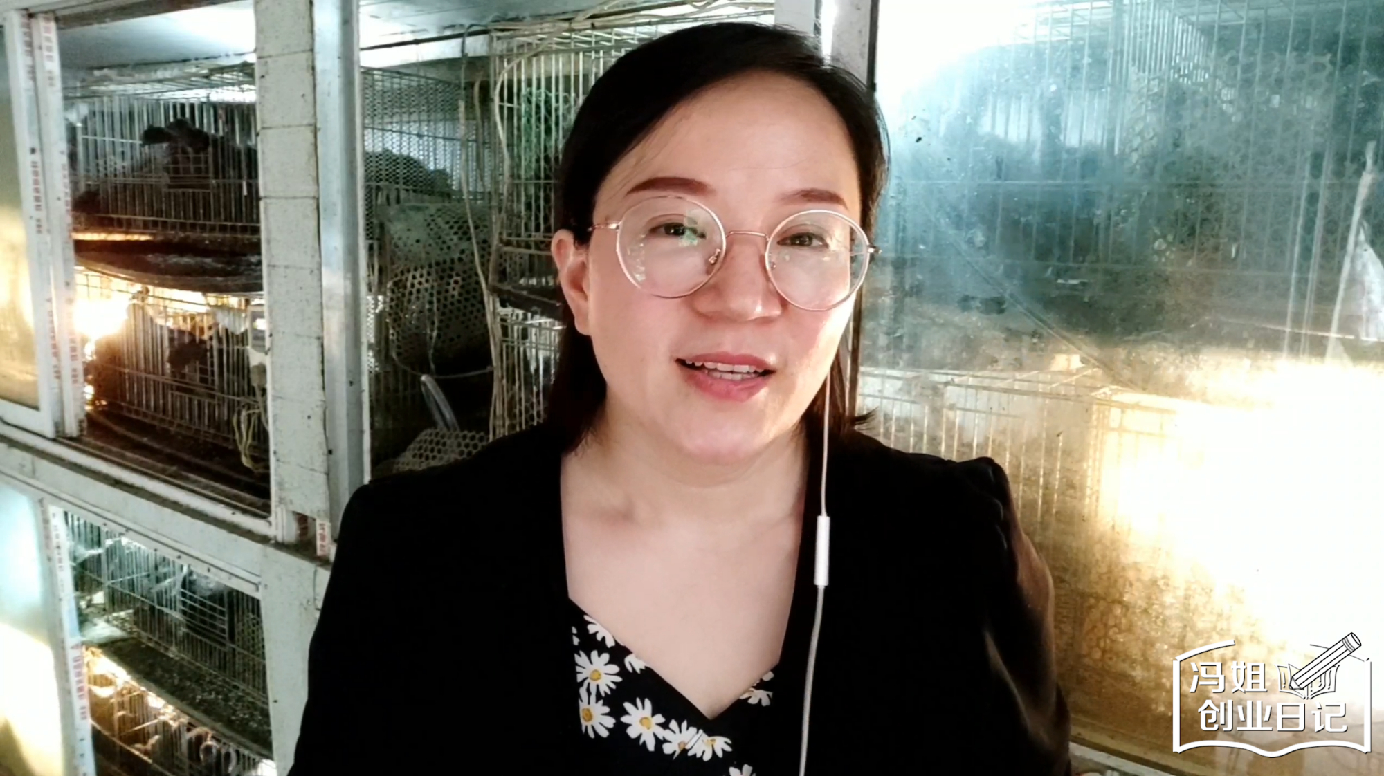 小鸡疫苗注射注意哪些?扎不对地方非死既残,冯姐分享注射标准