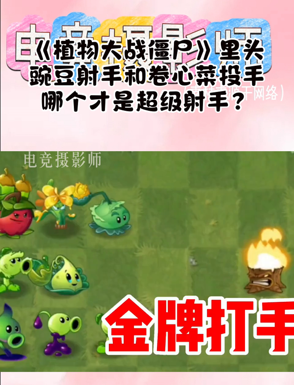 《植物大战僵尸》里头,豌豆射手和卷心菜投手,哪个才是超级射手?