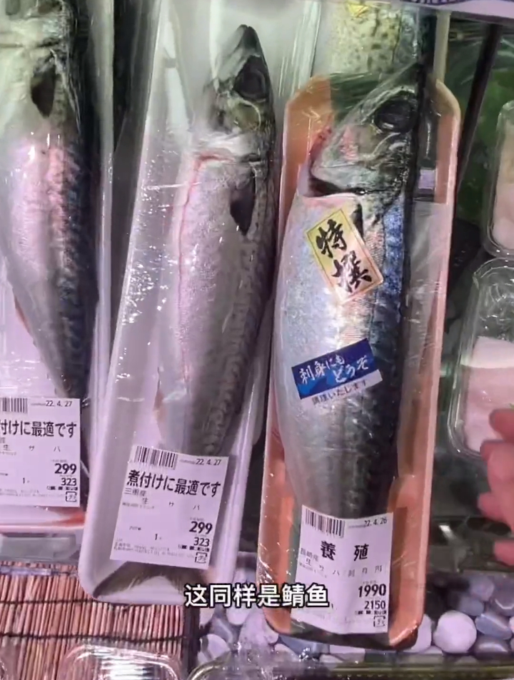 哈哈,有没有跟我一样喜欢吃醋鲭鱼的小伙伴呀