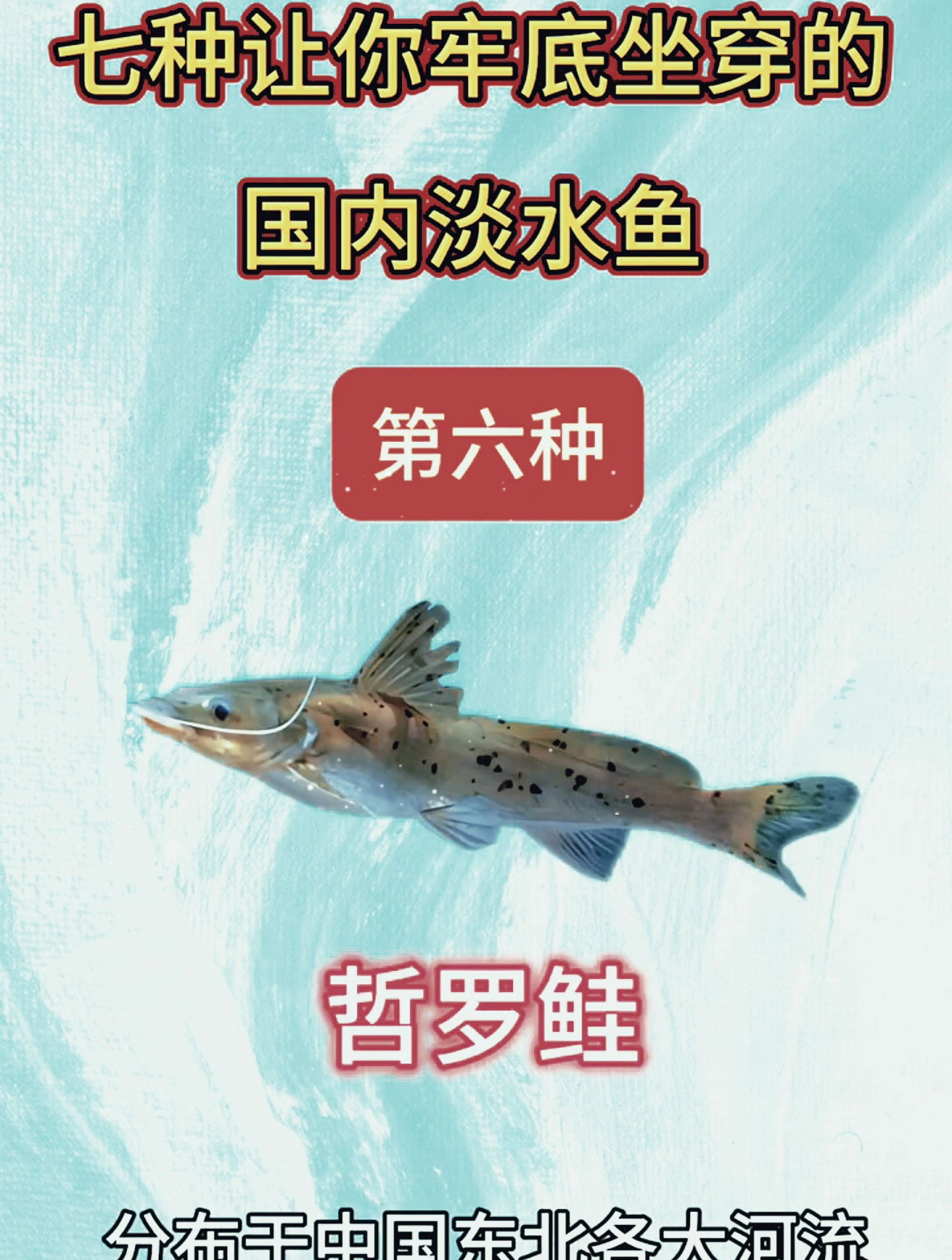 七种让你牢底坐穿的国内淡水鱼,有你不认识的吗?