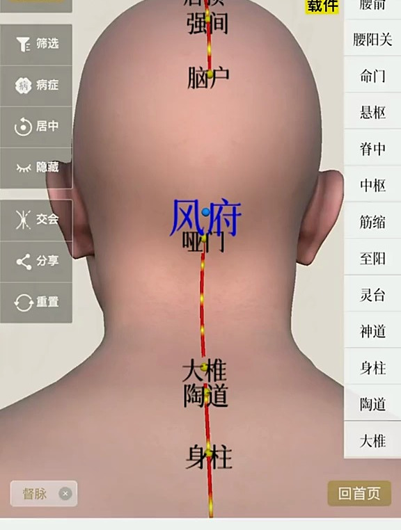 看视频学找风府穴位置