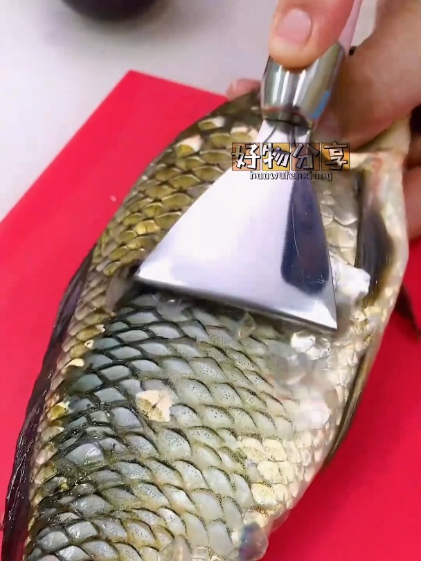 这个刮鱼鳞的小工具太方便了,快速不伤手