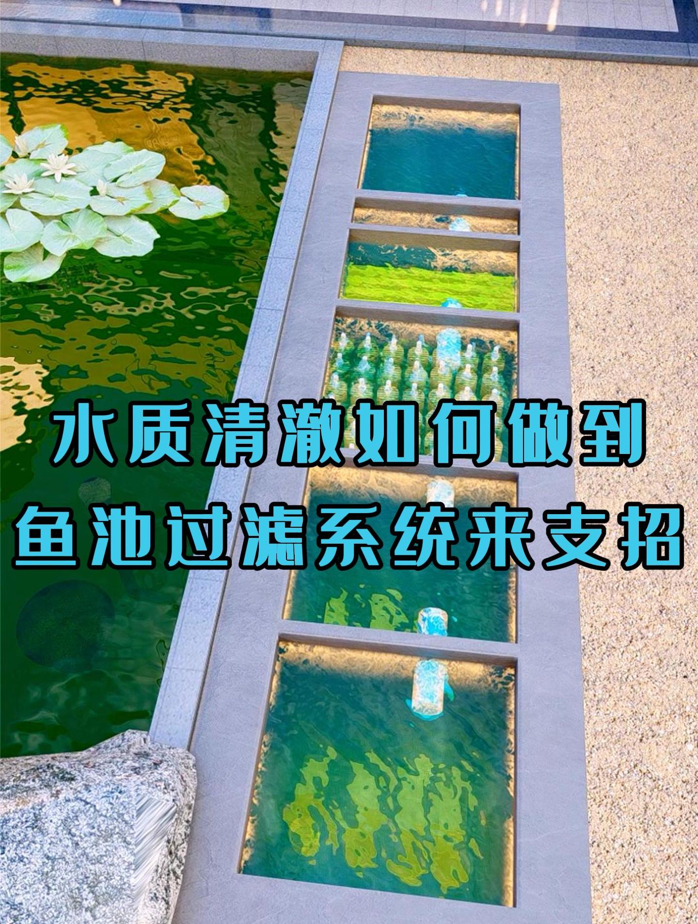 水质清澈如何做到鱼池过滤系统来支招