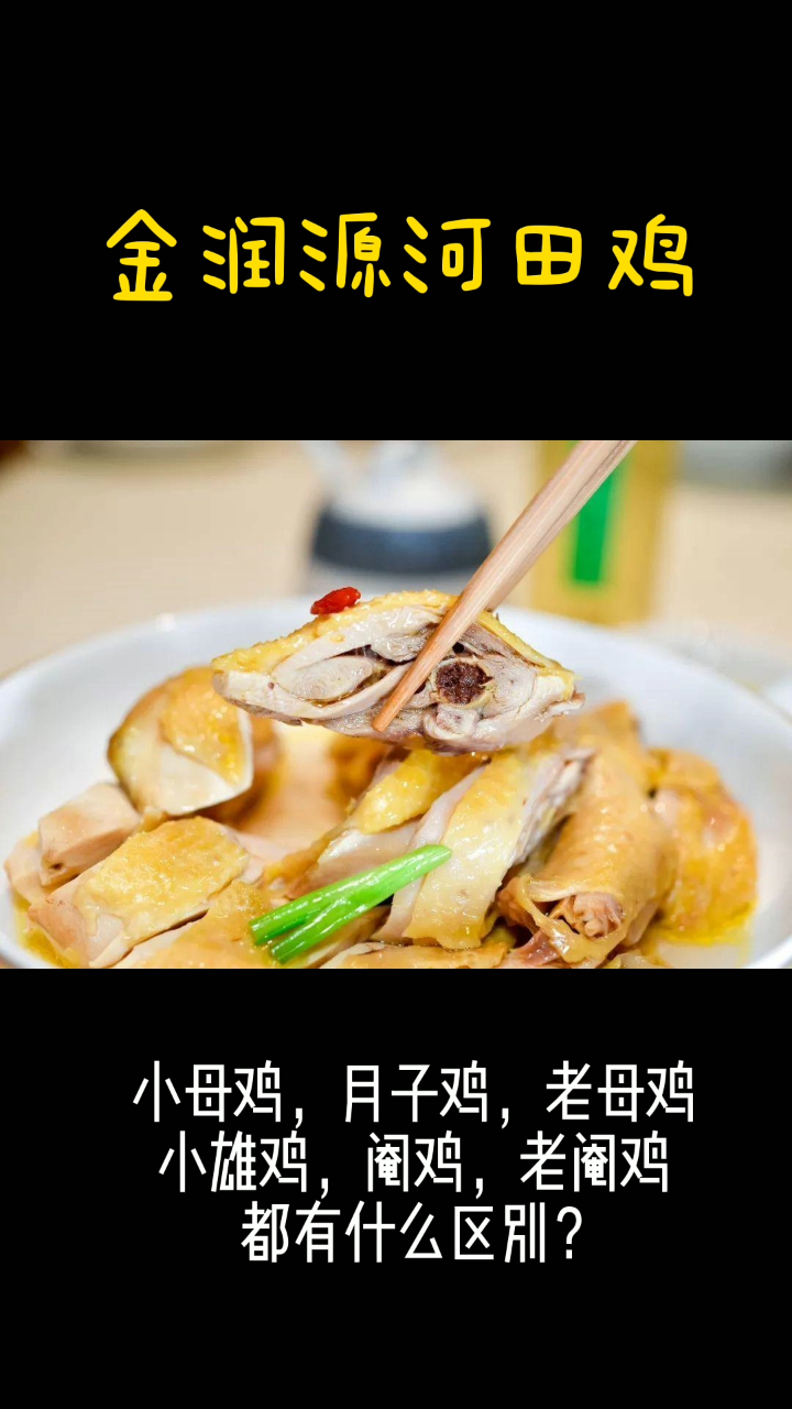 小母鸡、月子鸡、老母鸡、小雄鸡、阉鸡 、老阉鸡都有什么区别