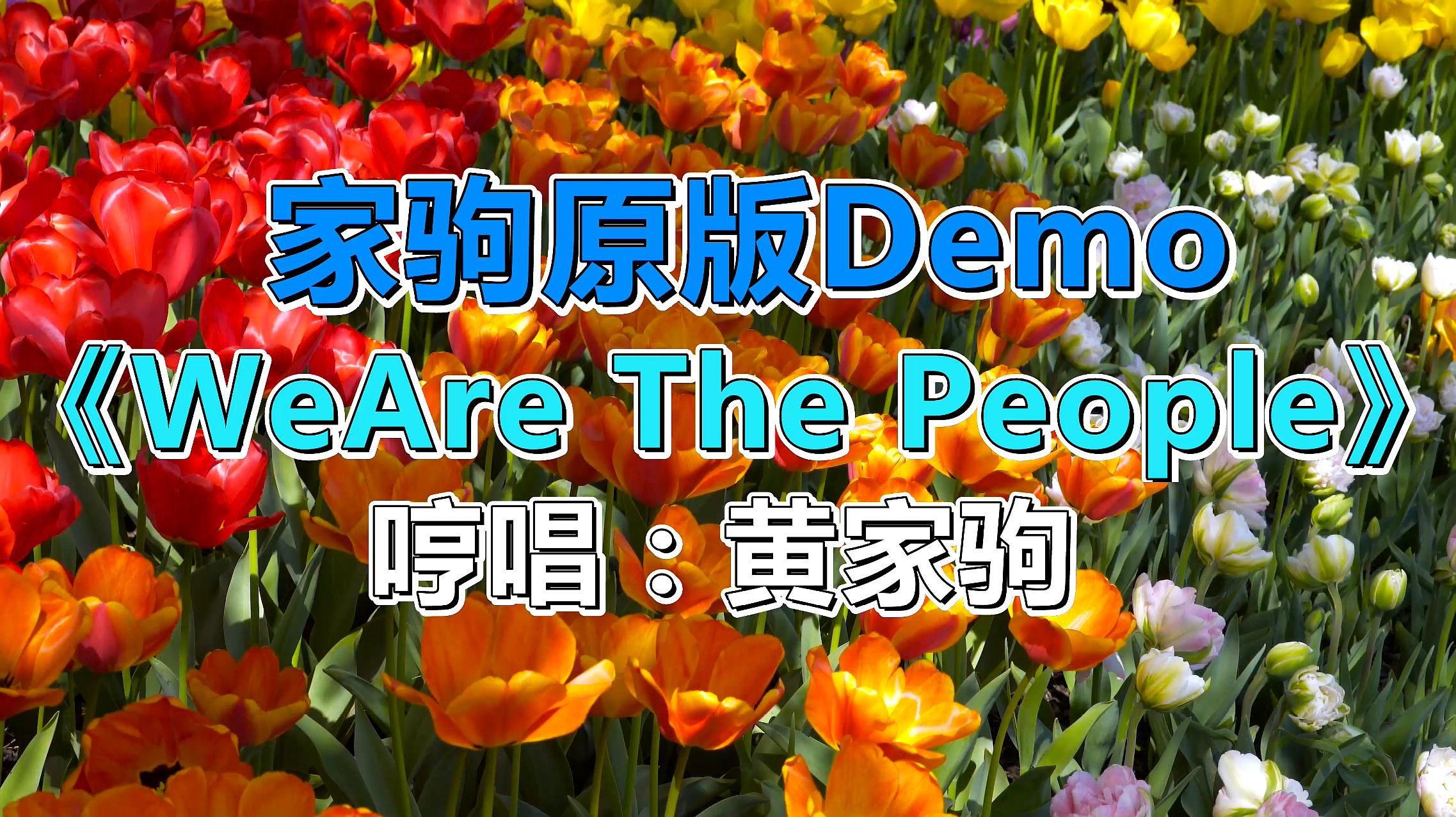 [图]家驹未发行作品《We Are The People》,没有歌词也很好听