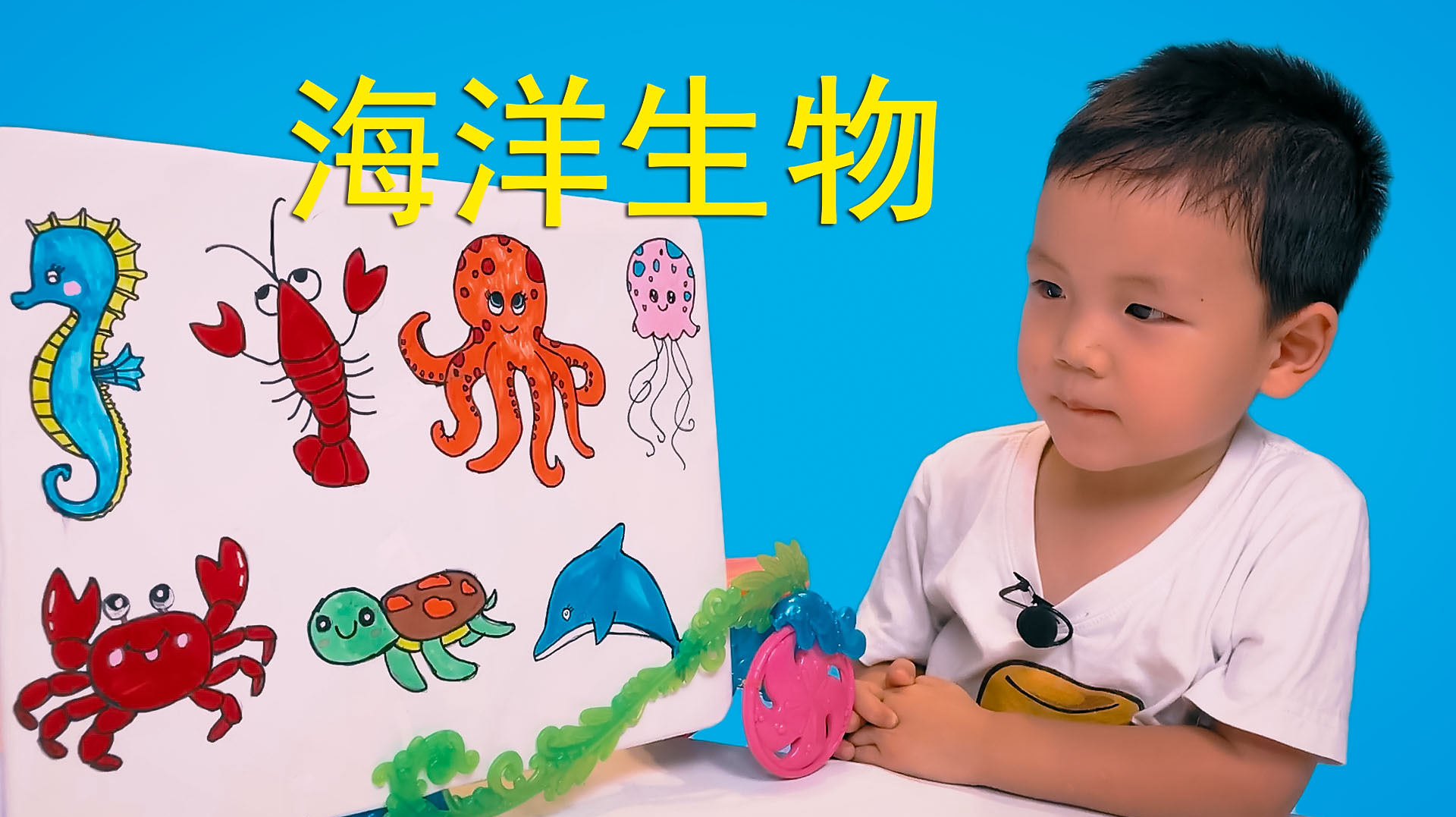 宝宝认识海洋生物,海马,龙虾,螃蟹,海龟