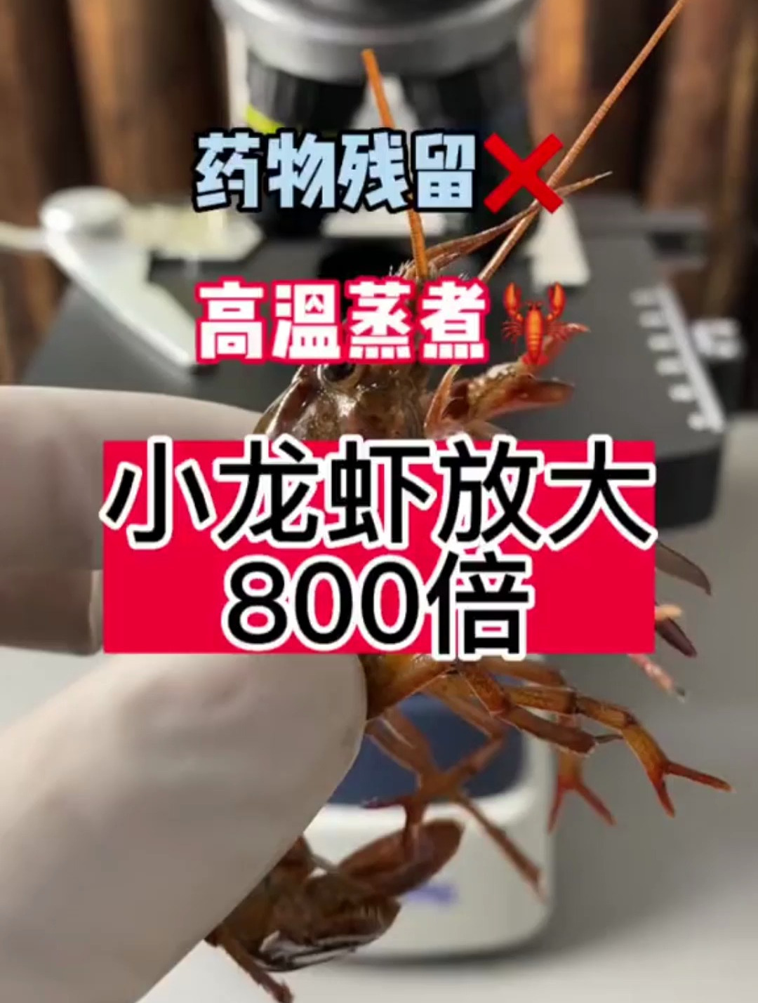 小龙虾爱吃吗,虾线里面有什么,虾黄到底能不吸你知道吗