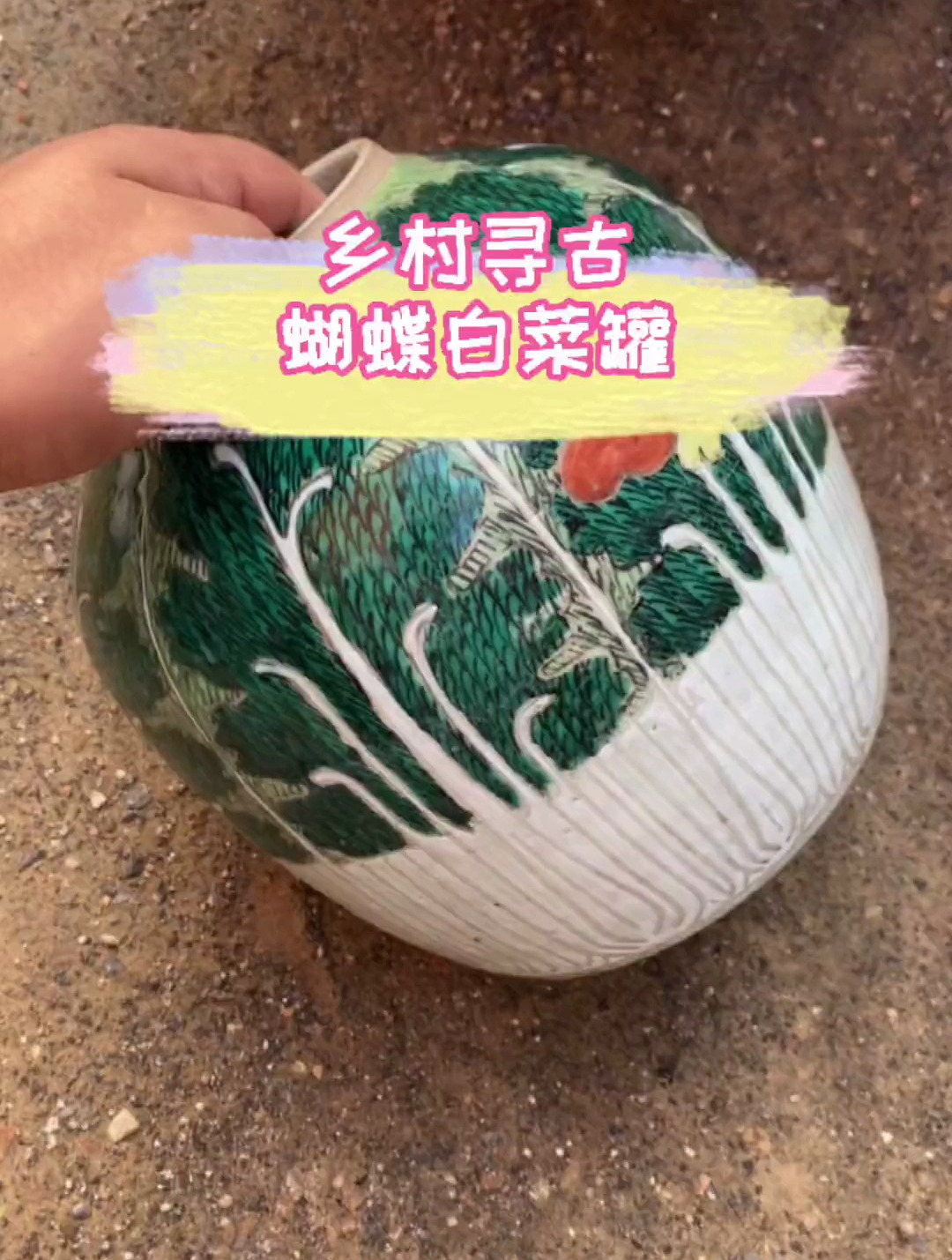 白菜又叫百财,发财了