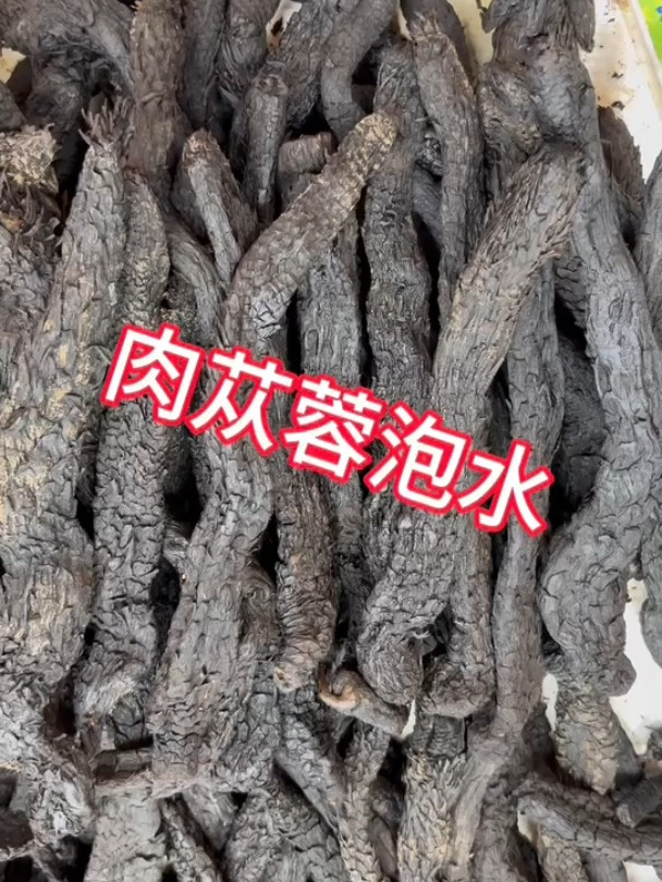 肉苁蓉泡水,建议尝试下
