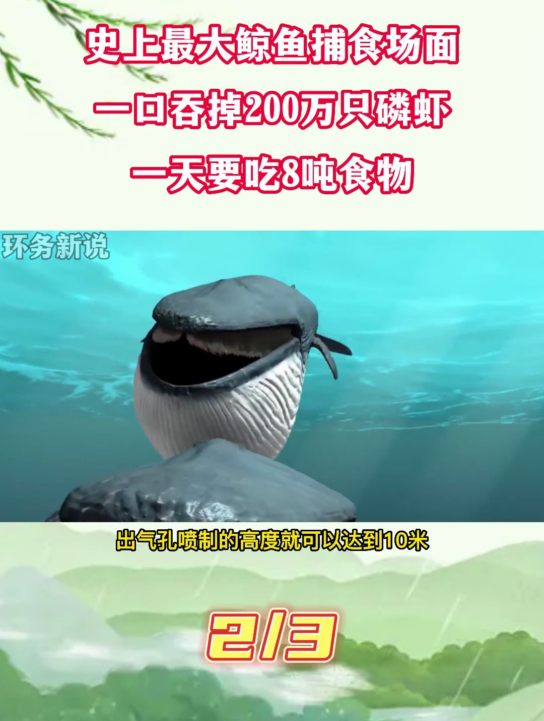 史上最大鲸鱼捕食场面,一口吞掉二百万只磷虾,一天要吃8吨食物