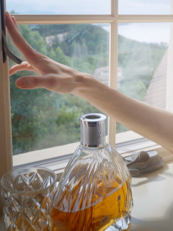 戴珍珠耳环的少女 54