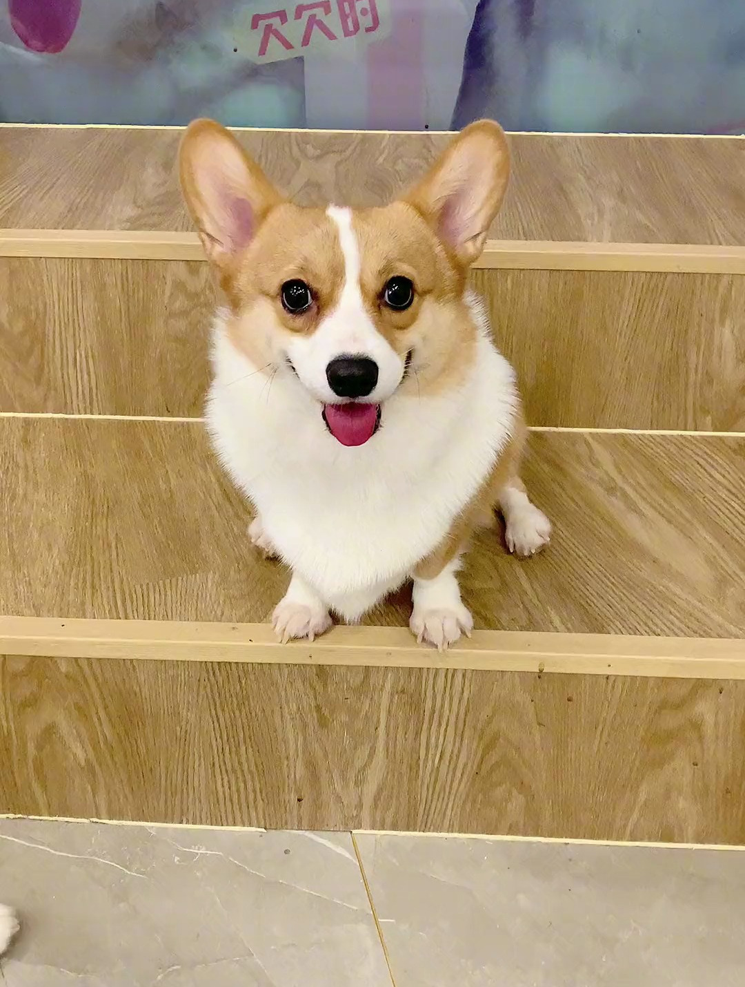 喜欢我给油条画的肖像画吗