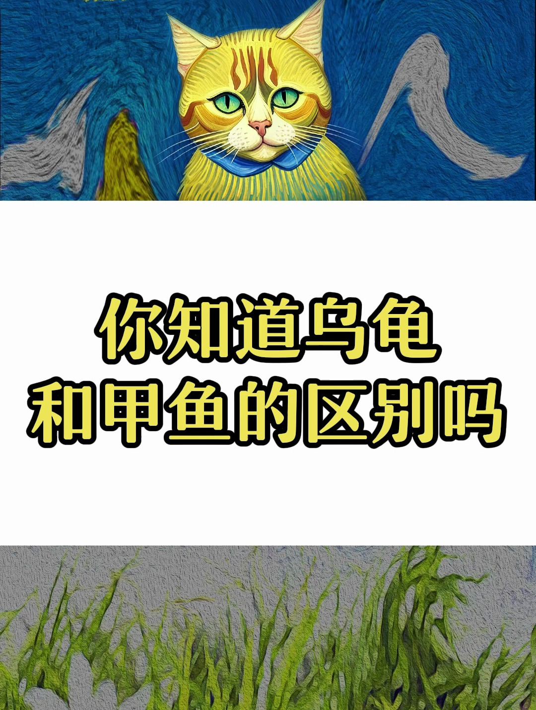 你知道乌龟和甲鱼的区别吗