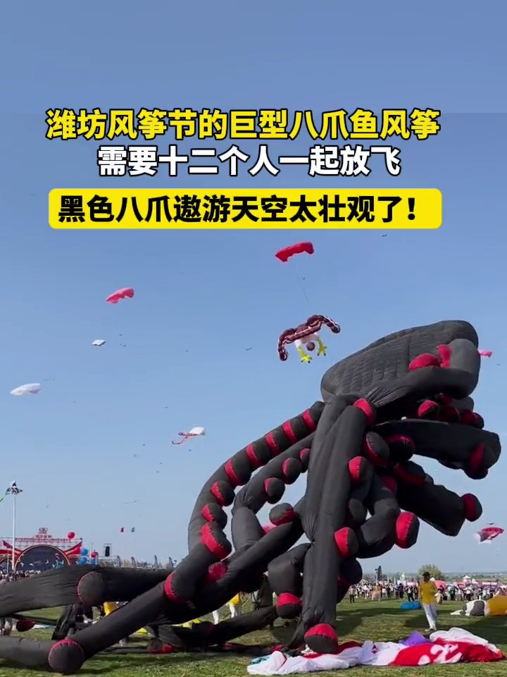 潍坊风筝节的巨型八爪鱼风筝需要12个人一起放飞,太壮观了!