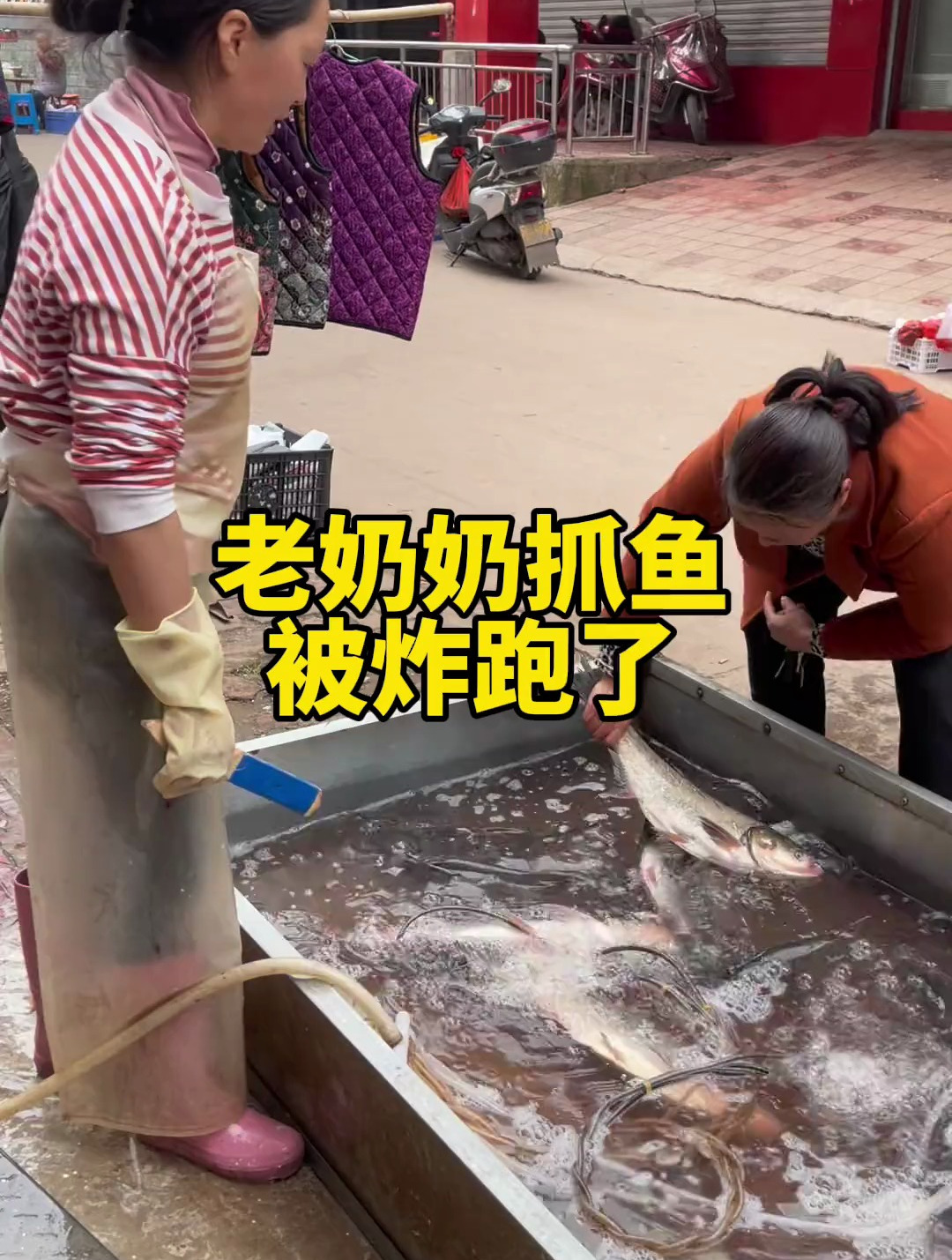 老奶奶买鱼被炸跑了?一起看看燕子如何杀鱼切片