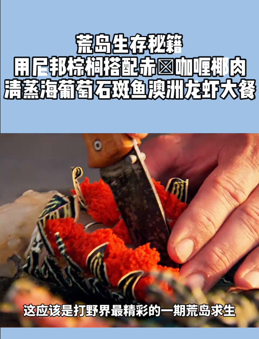 荒岛生存秘籍,用尼邦棕榈搭配赤魟咖喱椰肉,清蒸海葡萄石斑鱼澳洲龙虾大餐