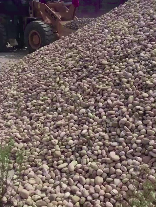 汕尾河卵石 白色鹅卵石 水处理鹅卵石 园林景观道路铺装