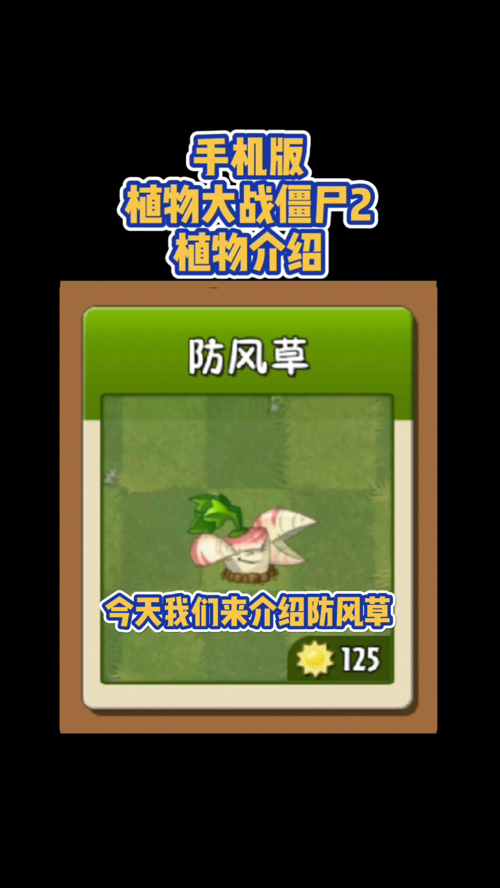 第33集|手游《植物大战僵尸2》植物介绍:防风草,你看我是近战远战?