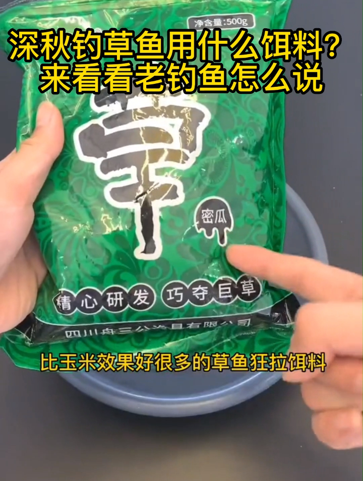 秋季想要连竿草鱼?只需掌握这些“套路”,拿起鱼竿就爆护
