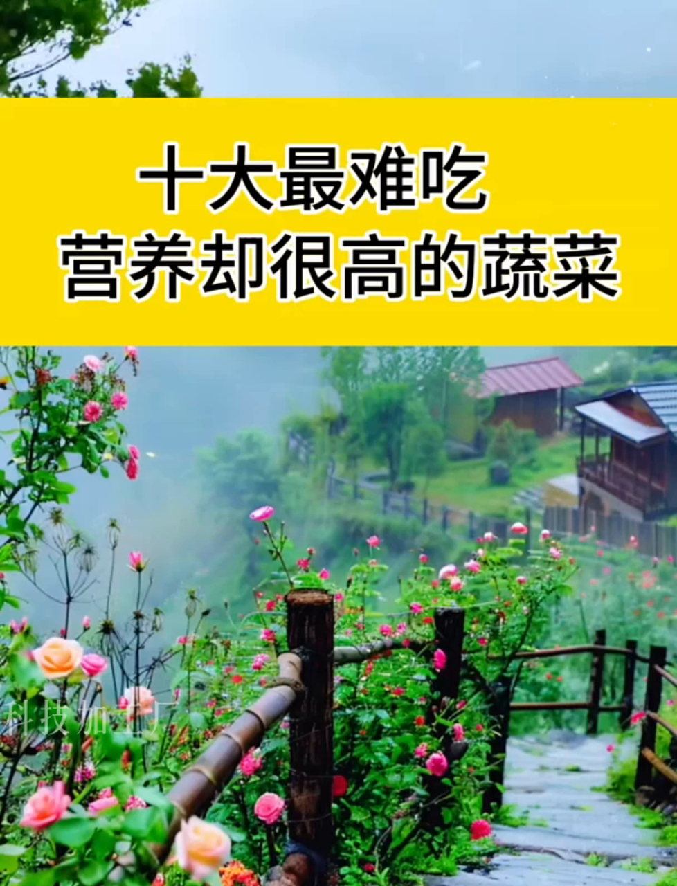 虽然味道不咋地,但营养价值爆表的蔬菜