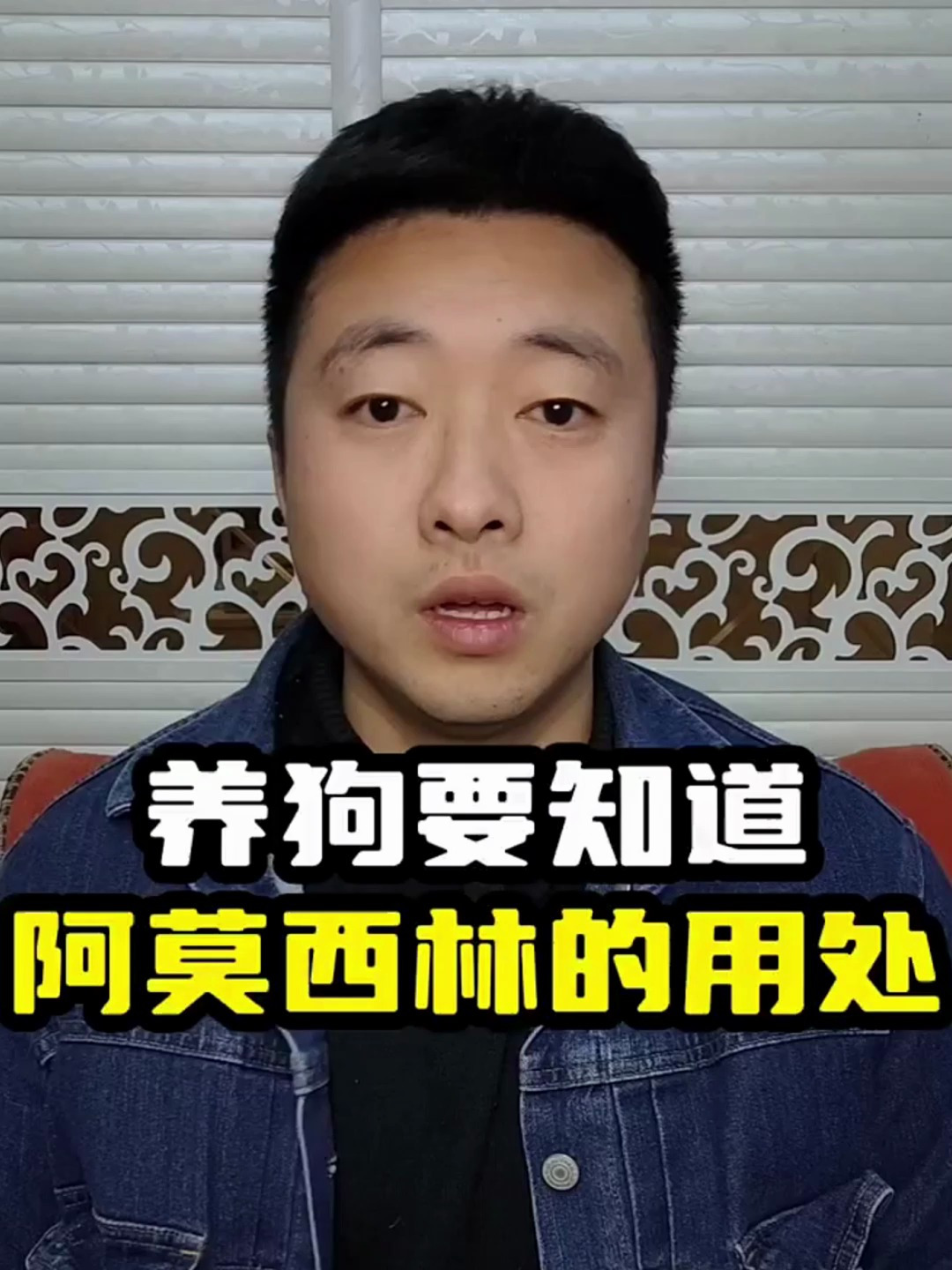 养狗一定要知道阿莫西林克拉维酸钾的用处