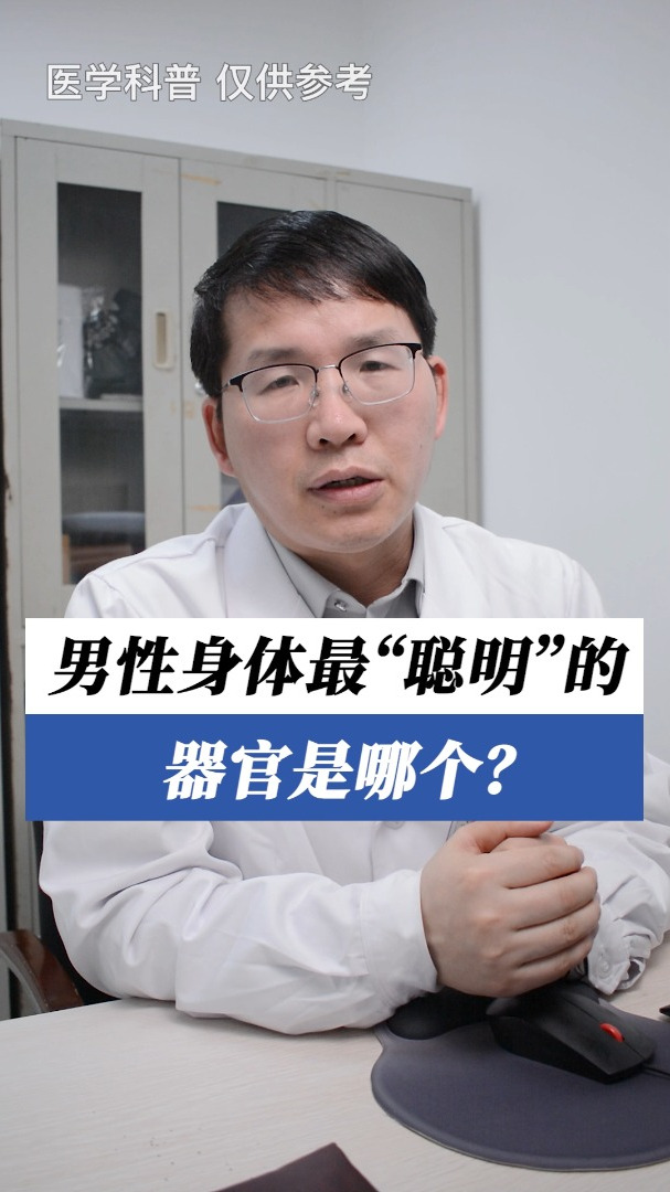 男人身上最聪明的器官是哪一个